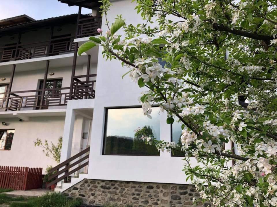 Camere De Inchiriat Livada Cu Meri Căpăţîneni-Ungureni Kültér fotó