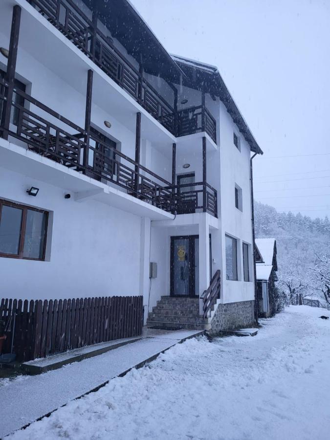 Camere De Inchiriat Livada Cu Meri Căpăţîneni-Ungureni Kültér fotó